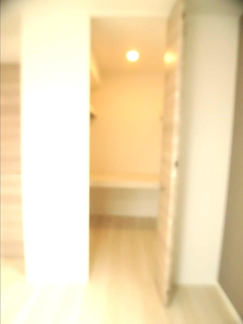 収納　３０２　ウォークインクローゼット