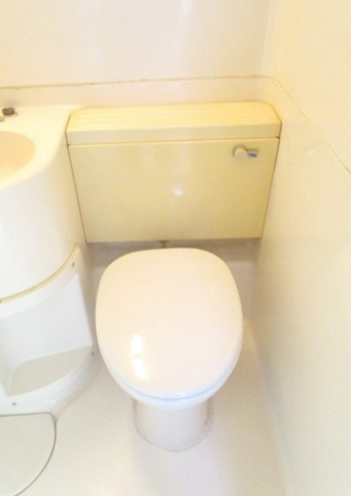 小田急小田原線 本厚木駅 徒歩15分 5階建 築40年のトイレ写真