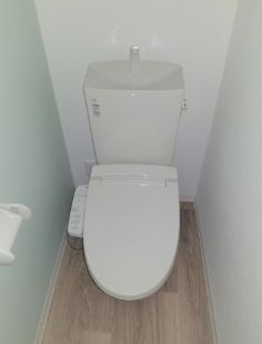 岡山電軌清輝橋線 清輝橋駅 徒歩13分 3階建 築8年のトイレ写真