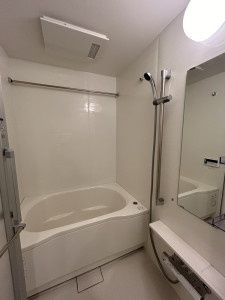 バス・シャワールーム　別タイプ部屋　参考写真です