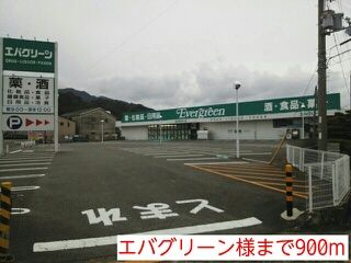 ドラックストア　エバグリーン様（ドラッグストア）まで900m