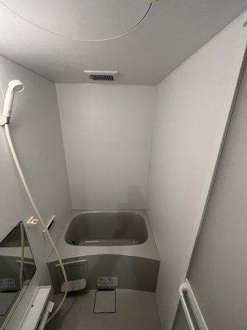 バス・シャワールーム　落ち着いた空間のお風呂です