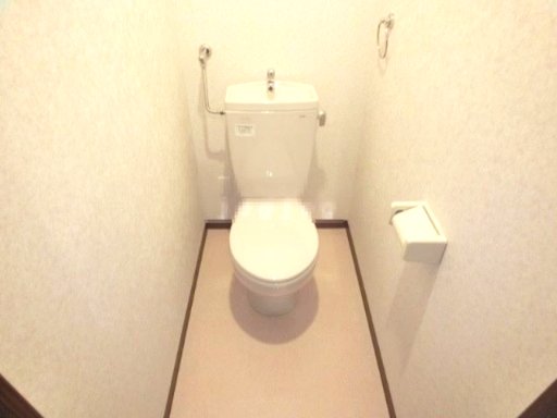 トイレ　トイレも気になるポイント