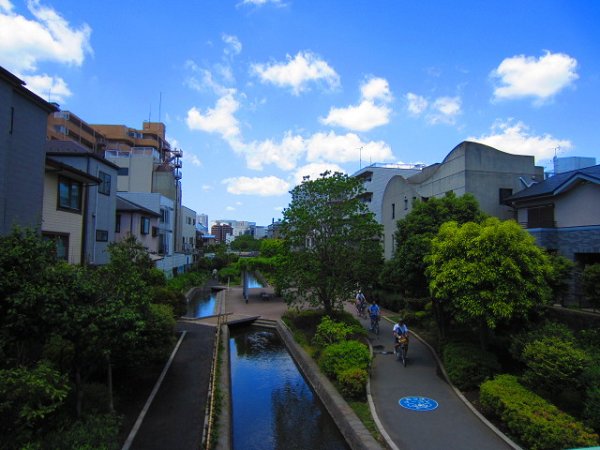 【江東区牡丹のマンションの公園】