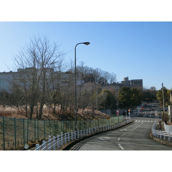 大学・短大　多摩美術大学（大学・短大）まで1637m