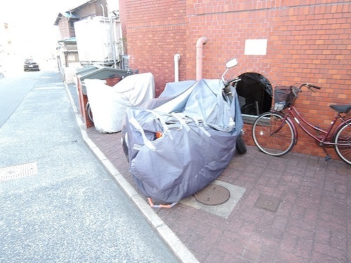 その他　駐輪場　※2019年6月撮影
