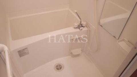 バス・シャワールーム　同物件別部屋です。