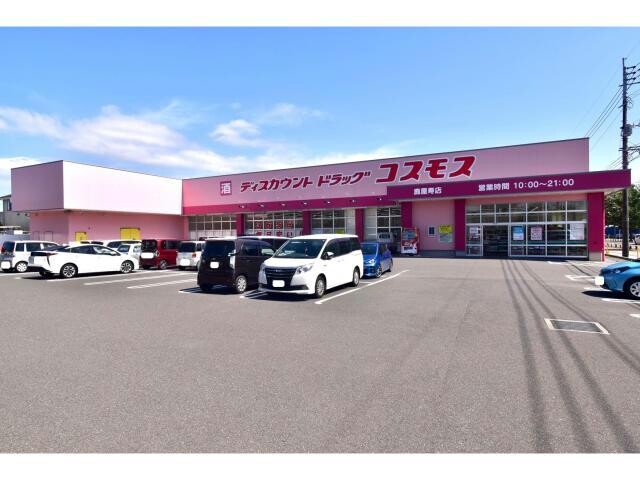 ドラックストア　ディスカウントドラッグコスモス鹿屋寿店（ドラッグストア）まで581m