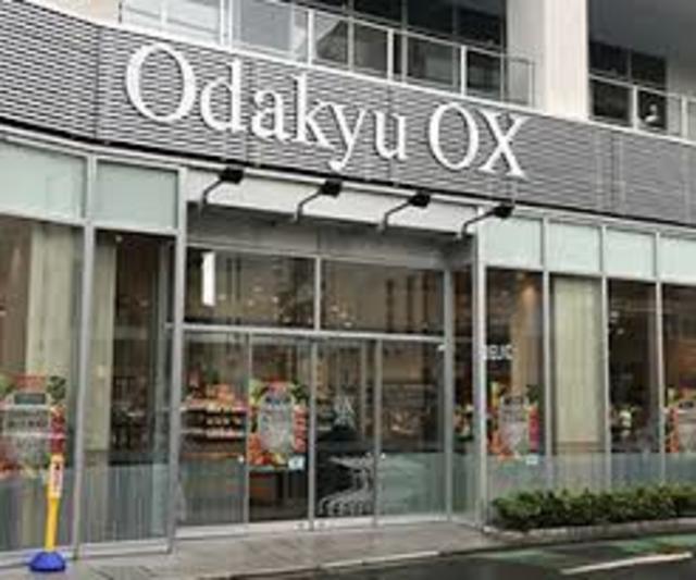 スーパー　OdakyuOX向ヶ丘遊園店（スーパー）まで980m
