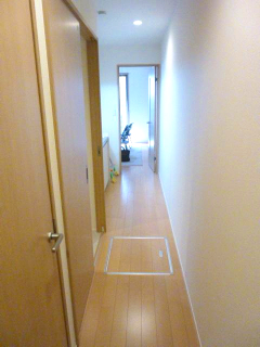 玄関　シンプルで使いやすい玄関です