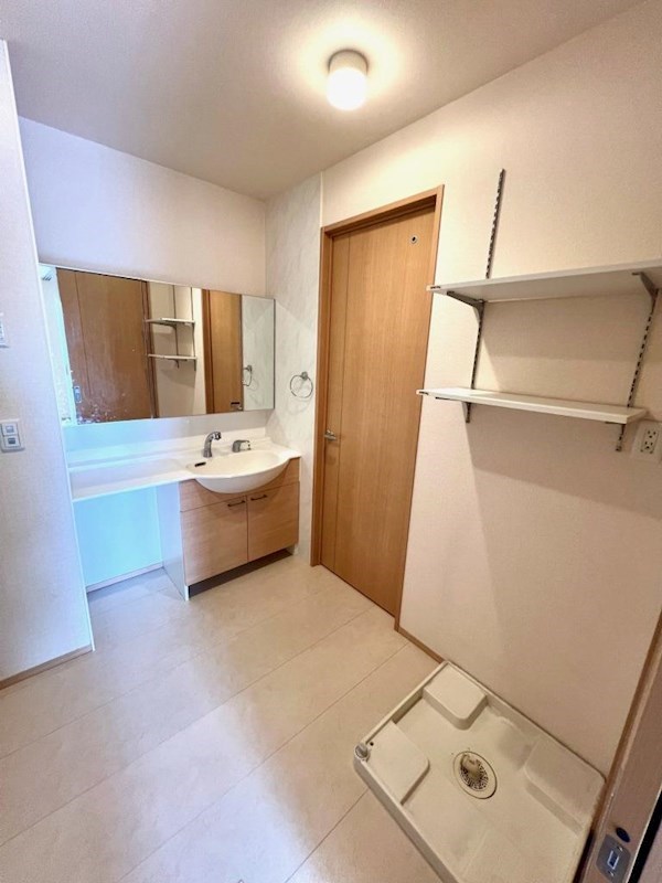 洗面設備　お掃除にも便利なシャワードレッサー