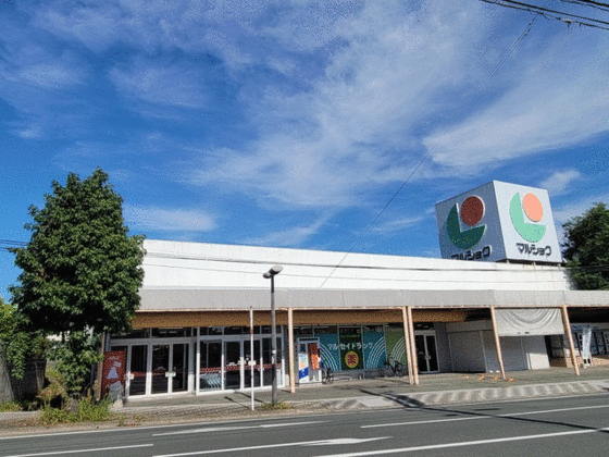 ショッピングセンター　マルショク（ショッピングセンター）まで500m