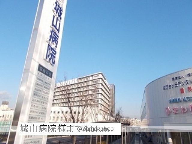 病院　城山病院（病院）まで4500m