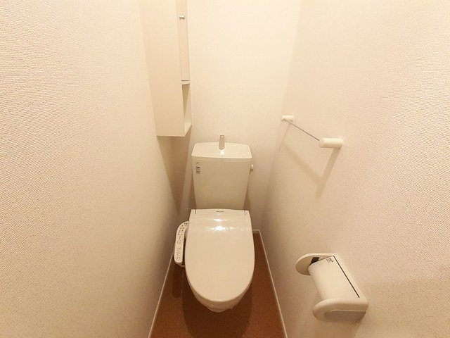 トイレ　トイレも気になるポイント