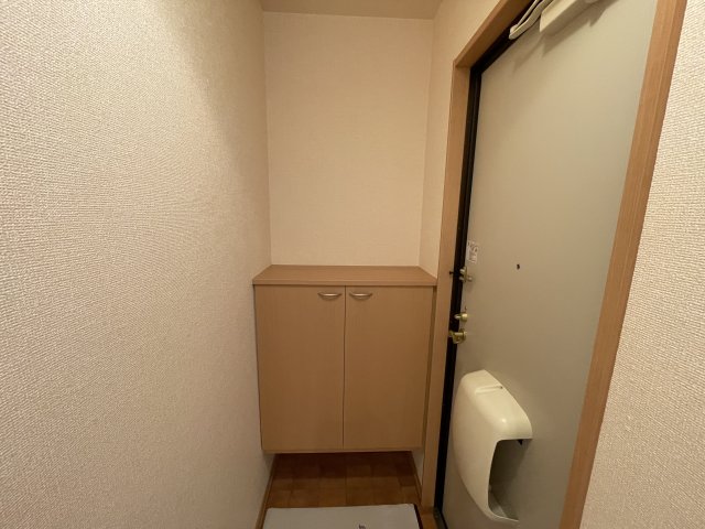 玄関　別部屋同一間取りのお写真となります。