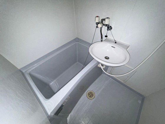 バス・シャワールーム　※別部屋の写真です