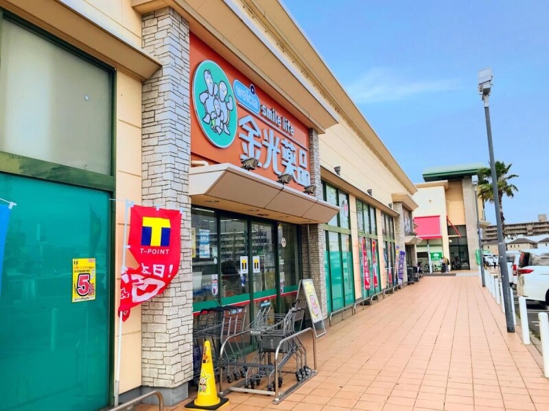 ドラックストア　金光薬品当新田店（ドラッグストア）まで333m