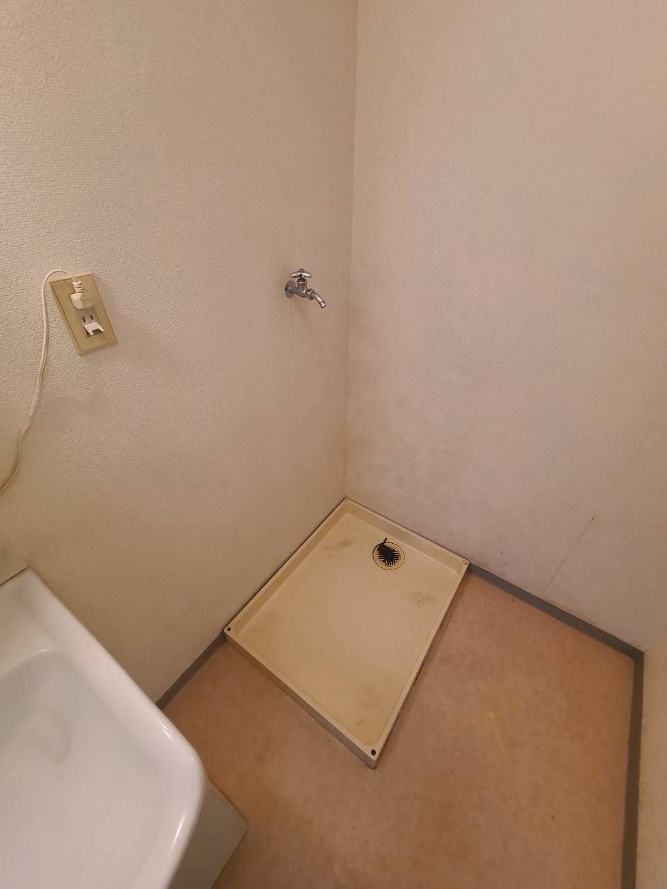 クリスタルパレスのその他写真