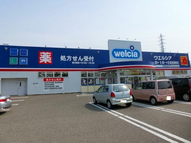 ドラックストア　ウエルシア新潟新和店（ドラッグストア）まで1052m