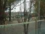 幼稚園・保育園　明青幼稚園（幼稚園・保育園）まで3240m