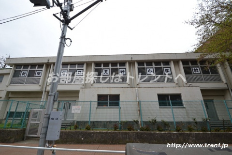 小学校　新宿区立 天神小学校（小学校）まで190m
