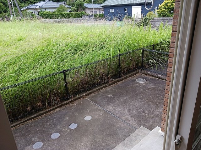 庭　お庭です