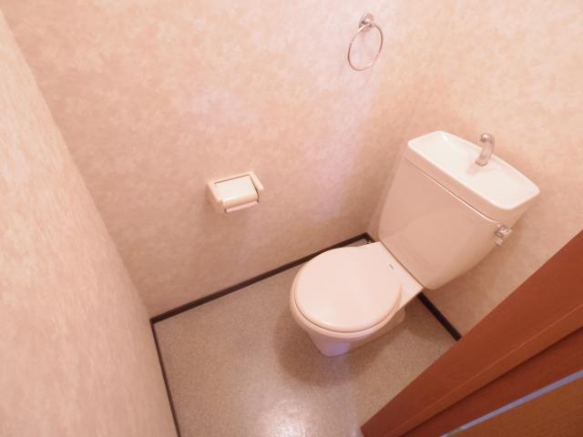 近鉄南大阪線 高田市駅 徒歩3分 2階建 築27年のトイレ写真