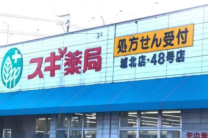 ドラックストア　スギ薬局城北店（ドラッグストア）まで1006m