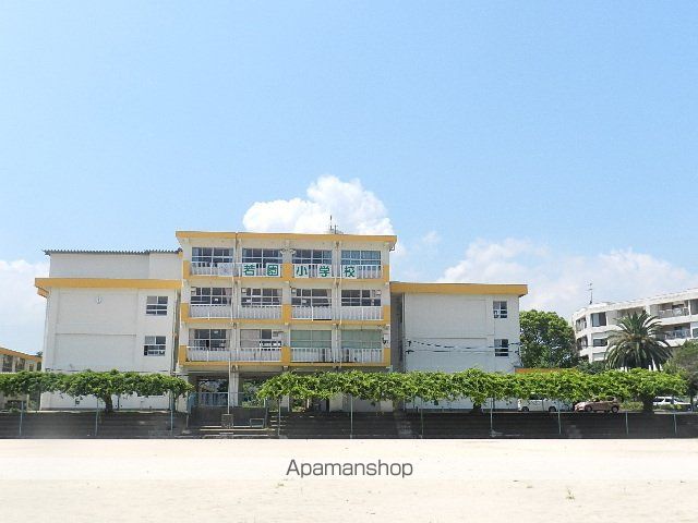 小学校　北九州市立若園小学校（小学校）まで214m