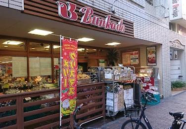 スカイコート川崎西口の周辺写真