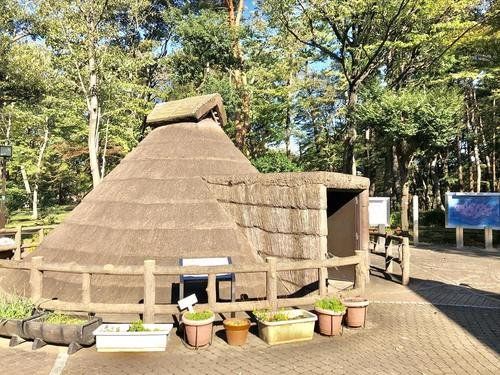 公園　塚山公園（公園）まで430m