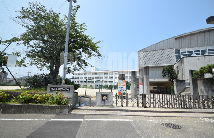 小学校　道後小学校（小学校）まで594m