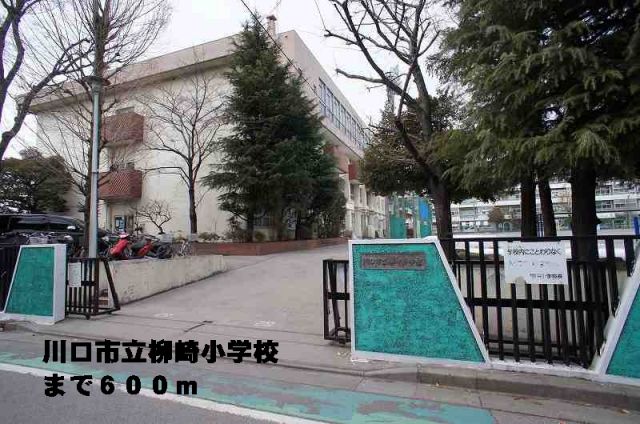小学校　川口市立柳崎小学校（小学校）まで600m