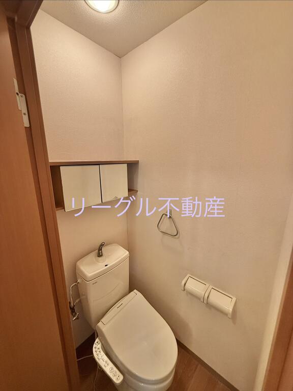 ＪＲ両毛線 国定駅 徒歩55分 2階建 築21年のトイレ写真