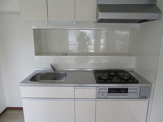 キッチン　※別号室の写真です