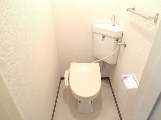 トイレ　※別号室の写真です