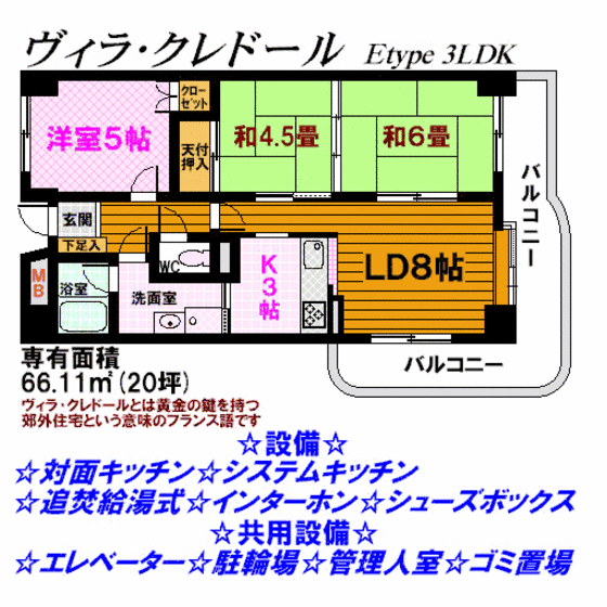 郡山市亀田のマンションの間取り