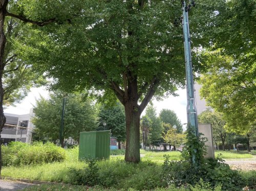 公園　六反公園（公園）まで284m