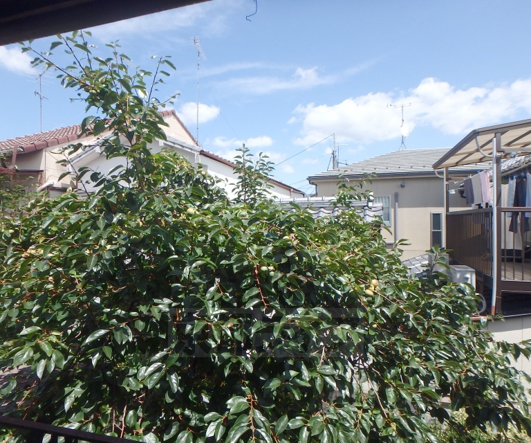 眺望　周りは閑静な住宅街です。