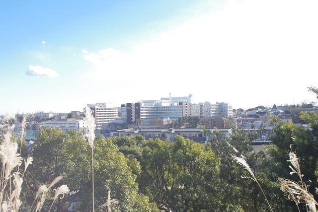 病院　聖マリアンナ医科大学病院（病院）まで355m