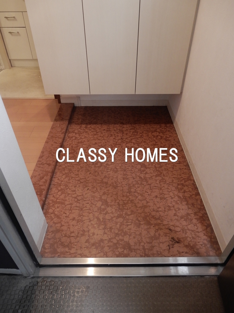 玄関　2009年竣工　エステムプラザ品川駅前：玄関