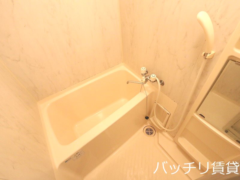 バス・シャワールーム　＊画像は別部屋の為イメージ、現状優先致します