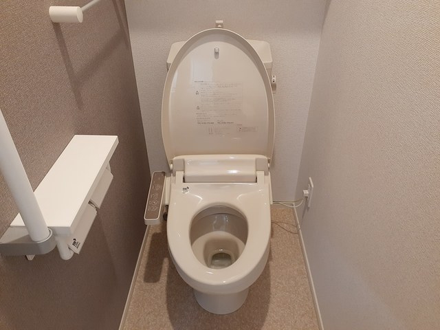 プリムヴェールヒルズIIのトイレ写真