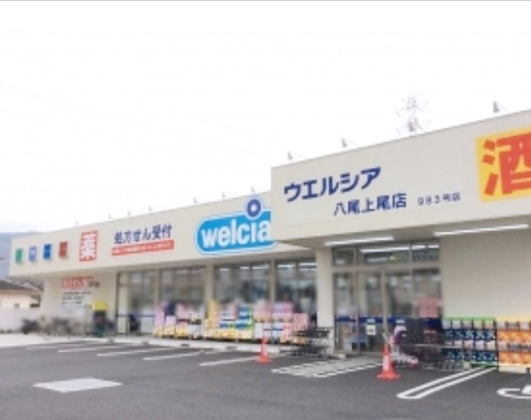 ドラックストア　ウエルシア八尾上尾店（ドラッグストア）まで242m