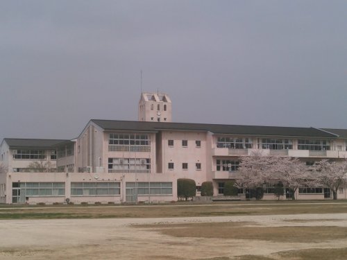 小学校　守谷市立松ケ丘小学校（小学校）まで500m