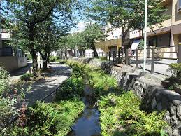 公園　北沢川緑道（公園）まで239m