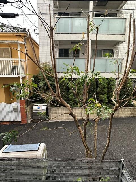 眺望　バルコニーからの眺めです