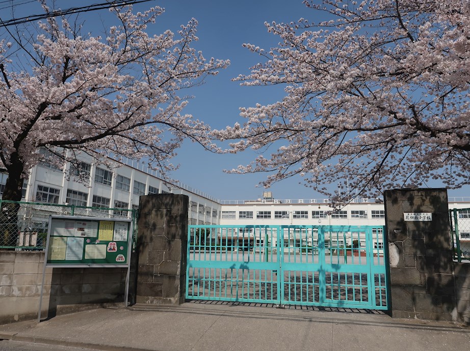 小学校　足立区立花畑西小学校（小学校）まで343m