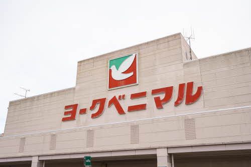 ラフィネタウンDの内装写真