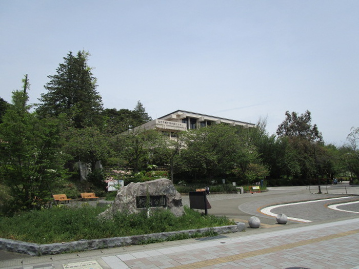 公園　榴岡公園（公園）まで260m